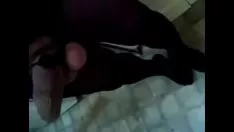 Odtwórz Wysokałapatka z drzewnym pocałunkiem