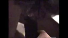 Play Xvideo recordings - janis & renee - feeding kitty-cat with pipped skim off
