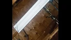 Play Horny MILF Sucks Dick like a Pro